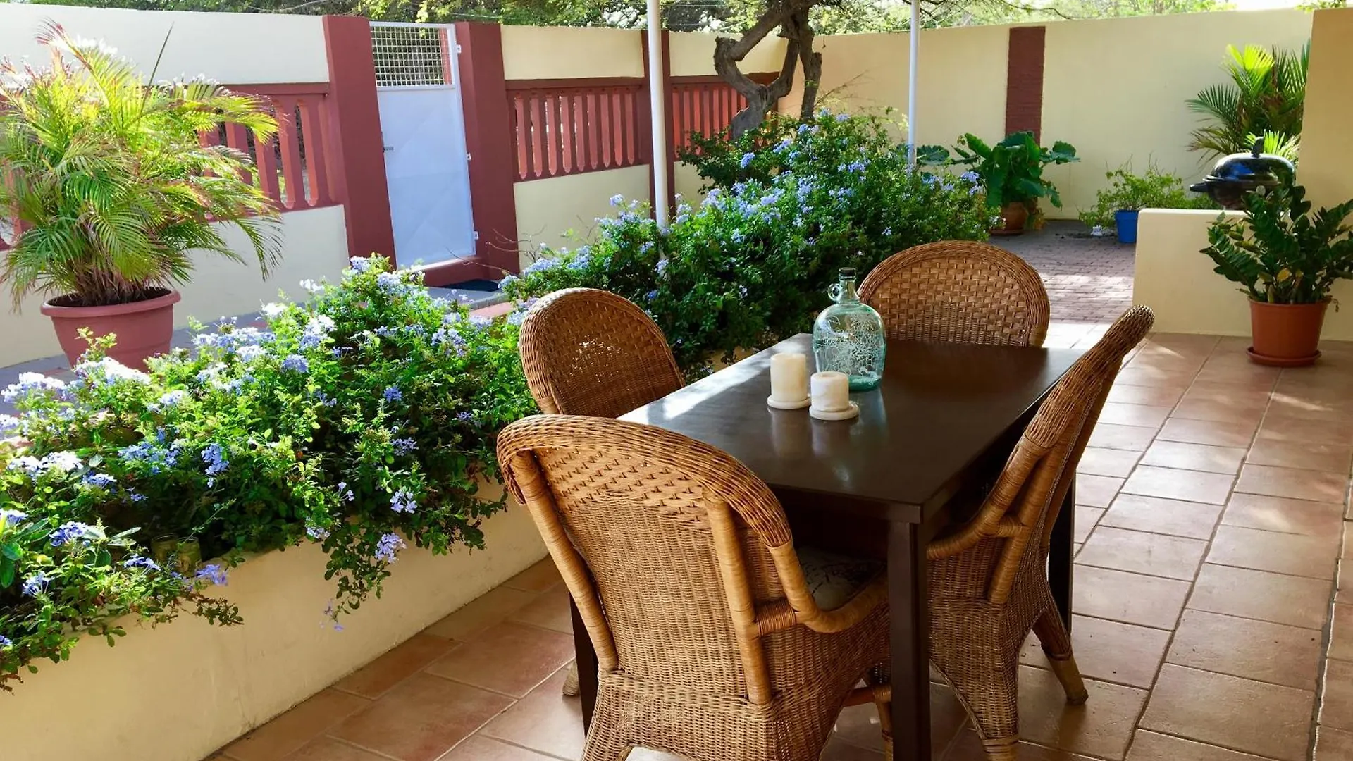 Bubali Gardens By Kamerlingh Villa Noord 0*,
