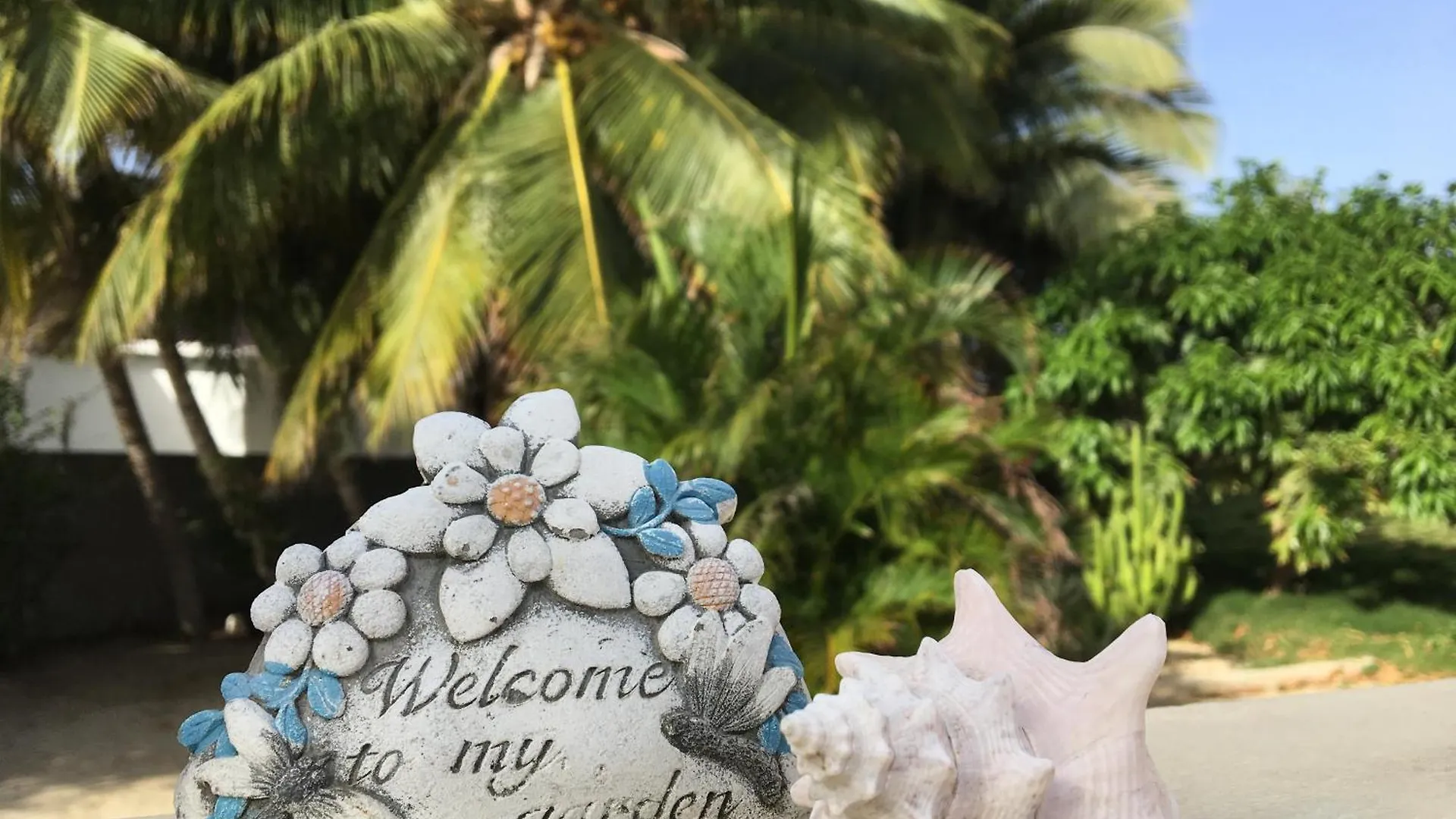 Bubali Gardens By Kamerlingh Villa Noord Aruba