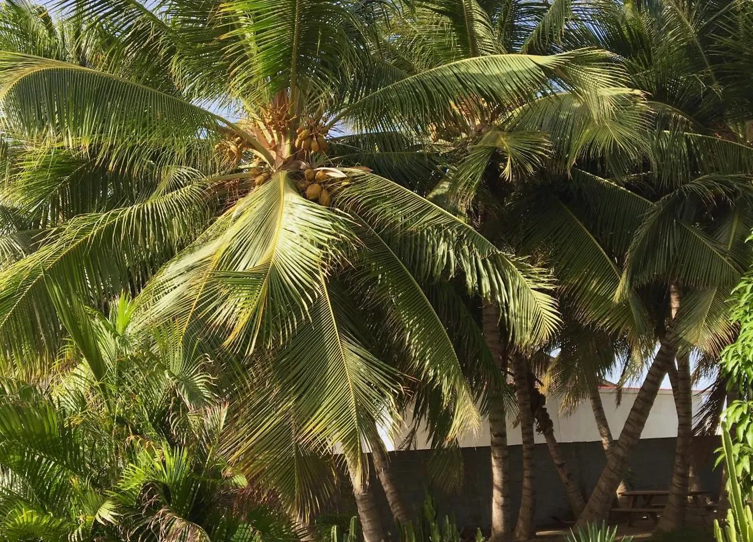 Bubali Gardens By Kamerlingh Villa Noord